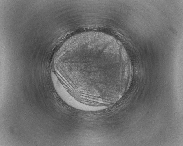 X0000115821060200912111246