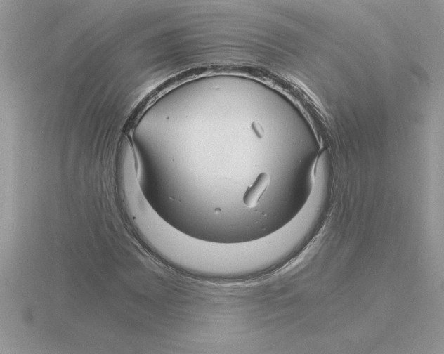 X0000115821065200912111246