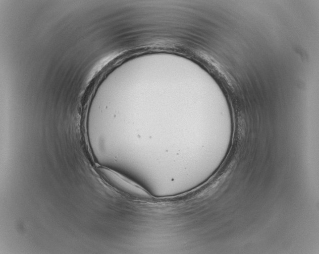 X0000115821066200912111246