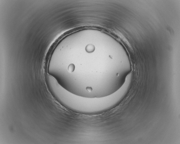 X0000115821068200912111246