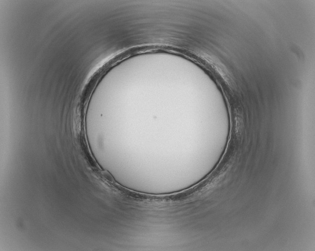 X0000115821069200912111246