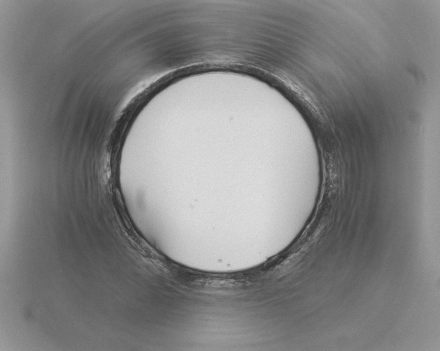 X0000115821070200912111246