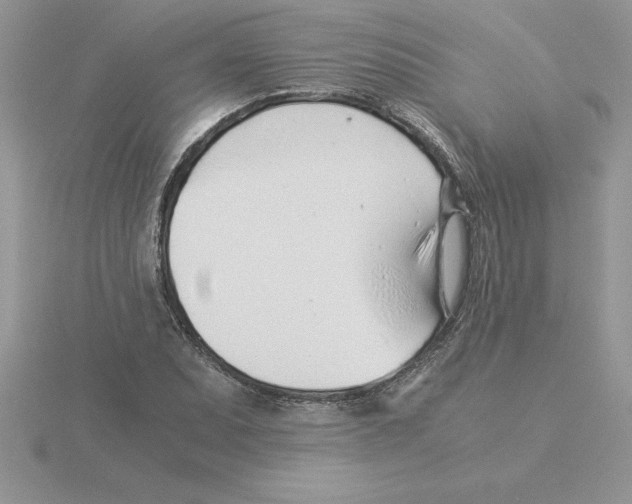 X0000115821071200912111246