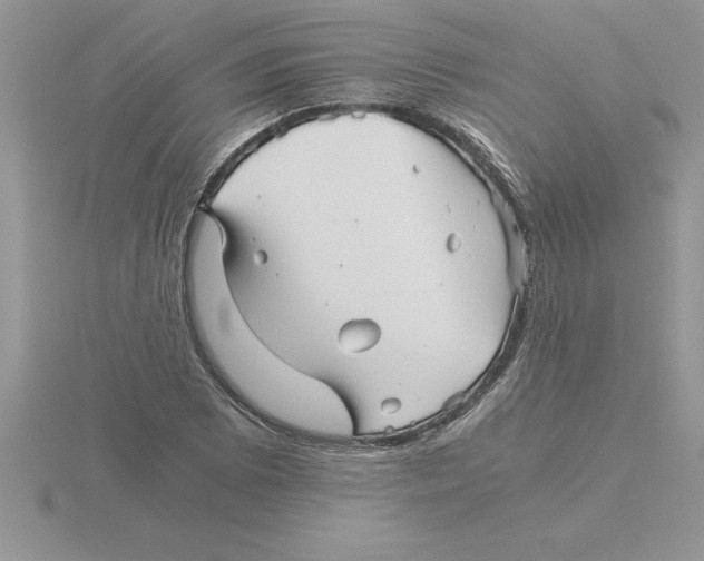 X0000115821073200912111246