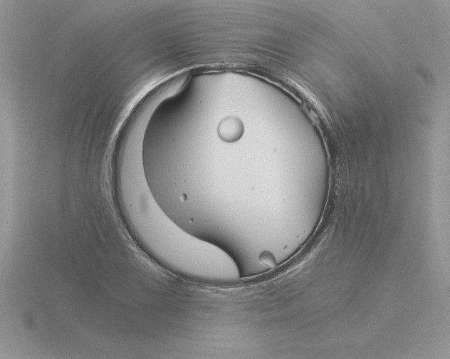 X0000115821075200912111246