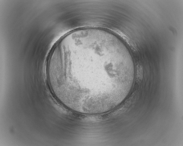 X0000115821078200912111246