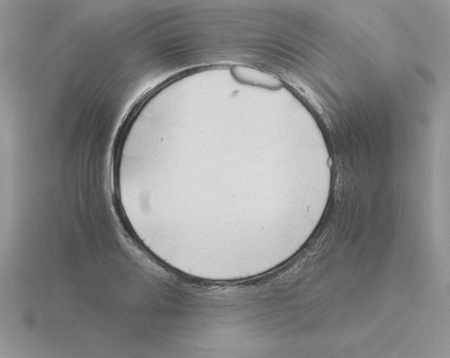 X0000115821080200912111246