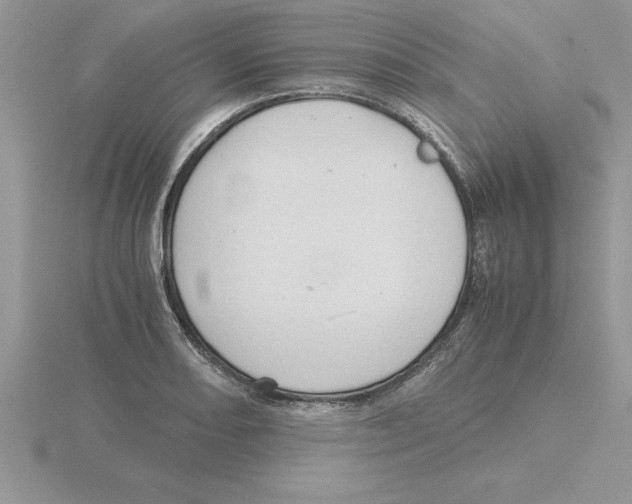 X0000115821082200912111246