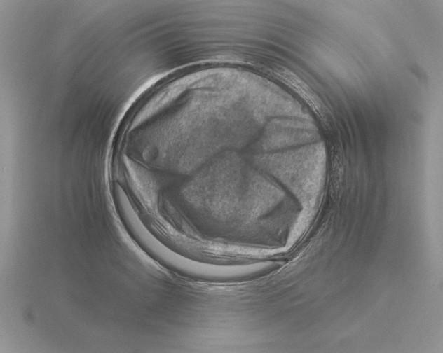 X0000115821084200912111246