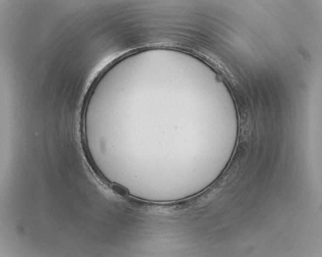 X0000115821086200912111246