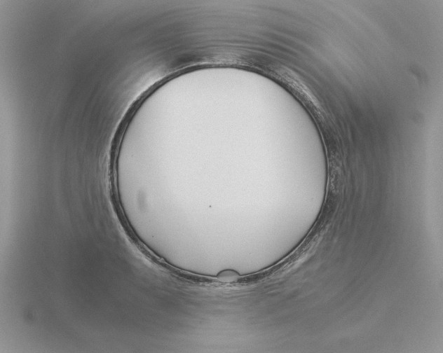 X0000115821087200912111246