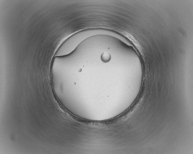 X0000115821089200912111246