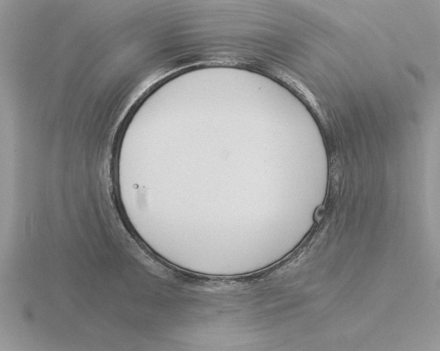 X0000115821091200912111246