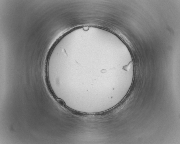 X0000115821093200912111246