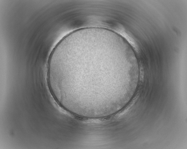 X0000115821094200912111246