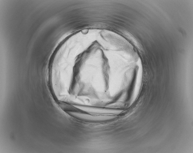 X0000115821095200912111246