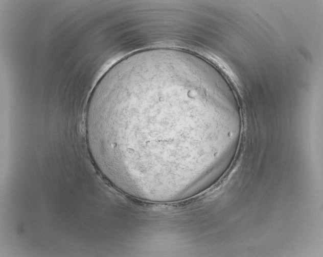 X0000115821097200912111246