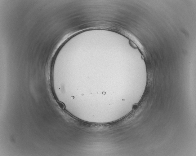 X0000115821099200912111246