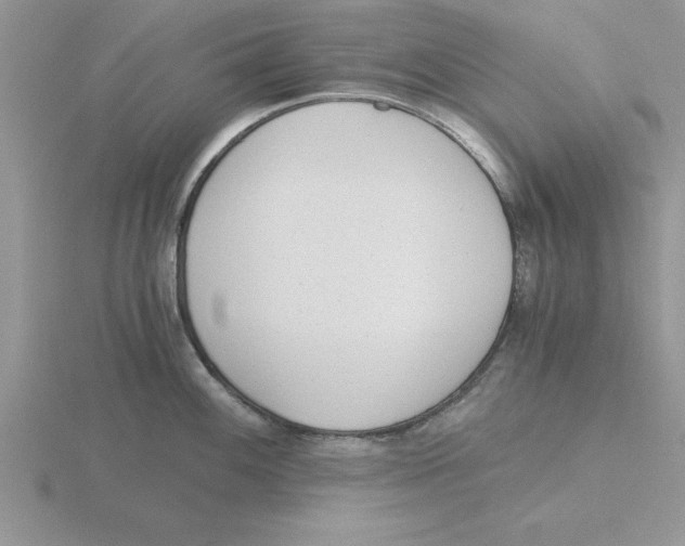 X0000115821100200912111246