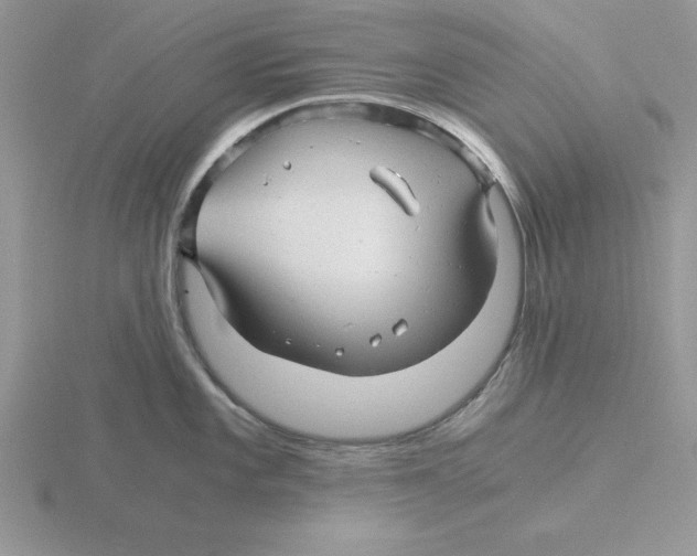 X0000115821101200912111246