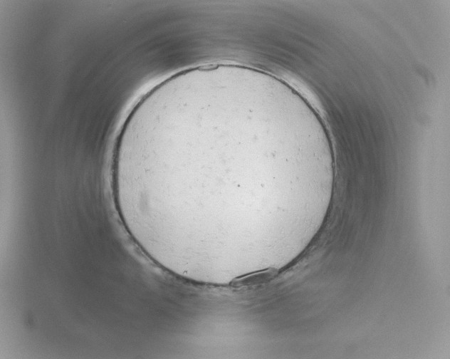 X0000115821104200912111245