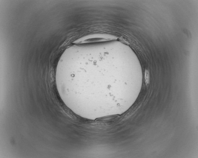 X0000115821107200912111245