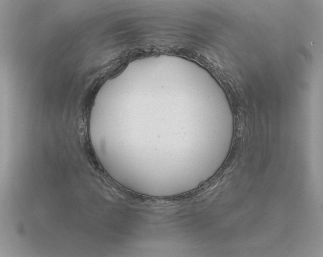 X0000115821109200912111245