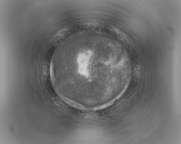 X0000115821110200912111245