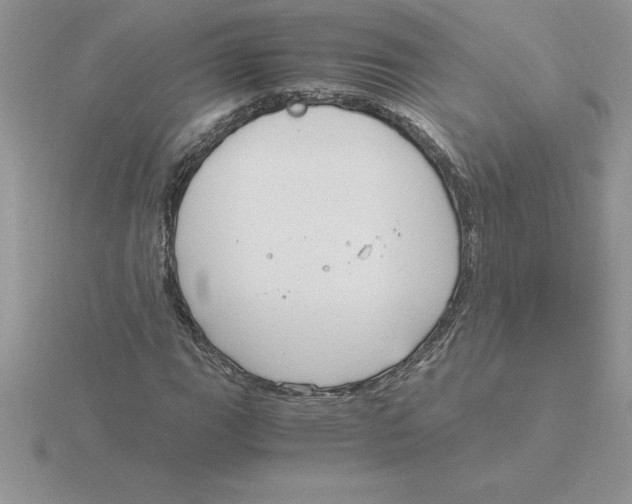 X0000115821111200912111245