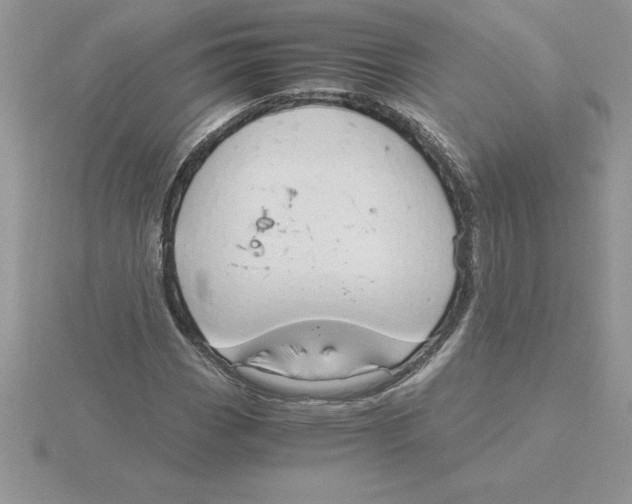 X0000115821113200912111245