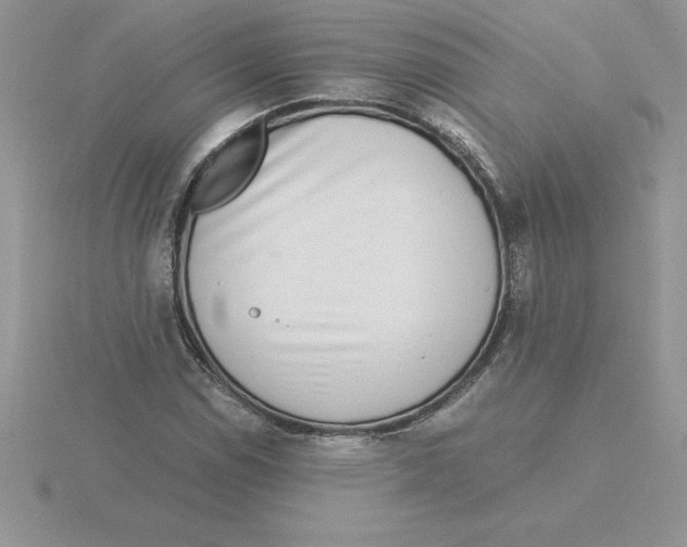 X0000115821114200912111245