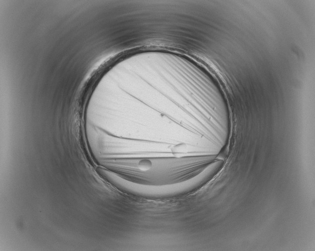 X0000115821115200912111245