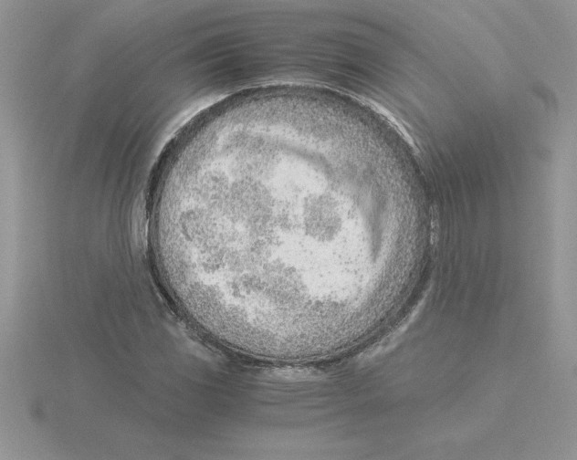 X0000115821117200912111245