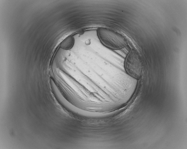 X0000115821129200912111245