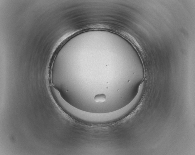 X0000115821133200912111245