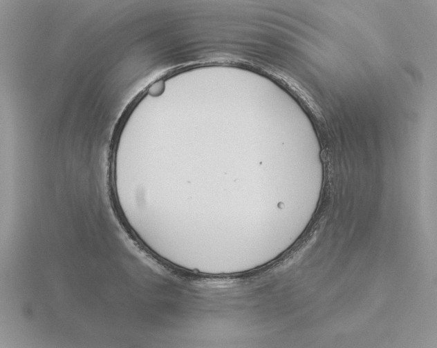 X0000115821134200912111245