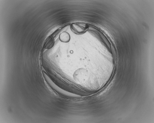 X0000115821137200912111245