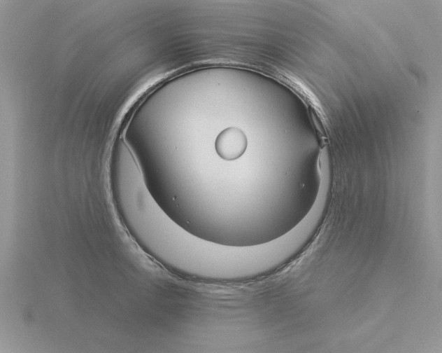 X0000115821138200912111245