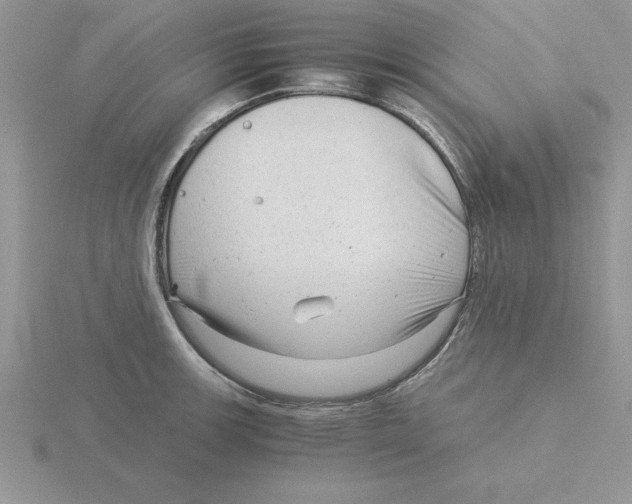 X0000115821139200912111245