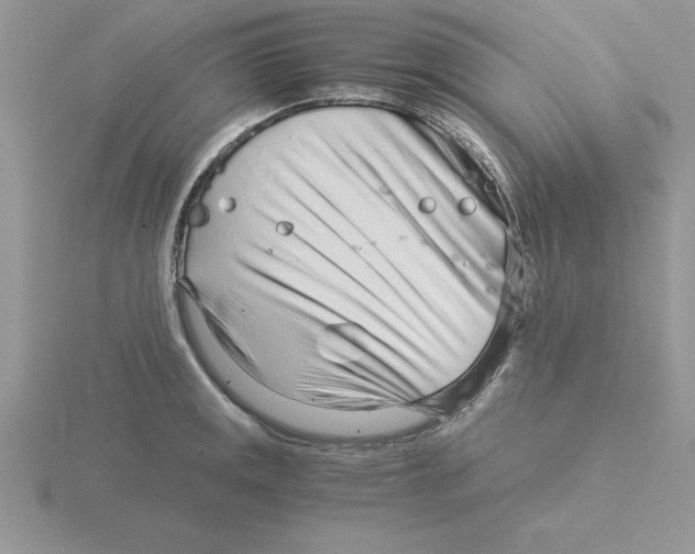 X0000115821141200912111245