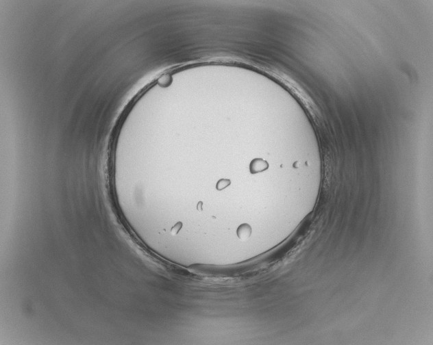 X0000115821142200912111245