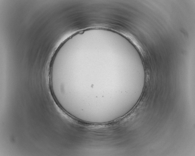 X0000115821143200912111245