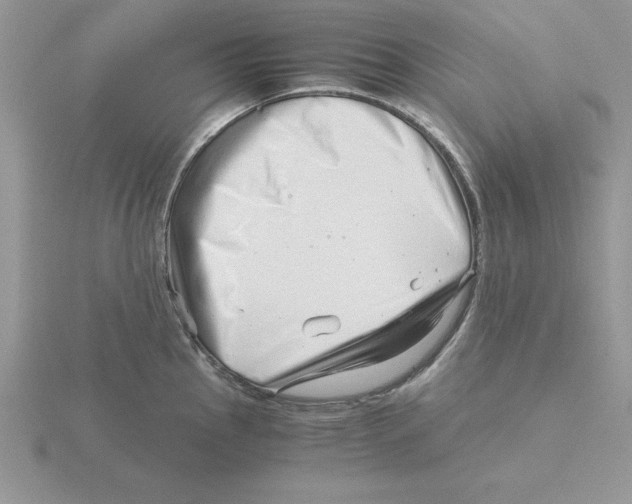 X0000115821145200912111245