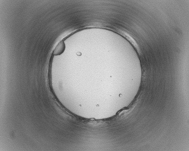 X0000115821146200912111245