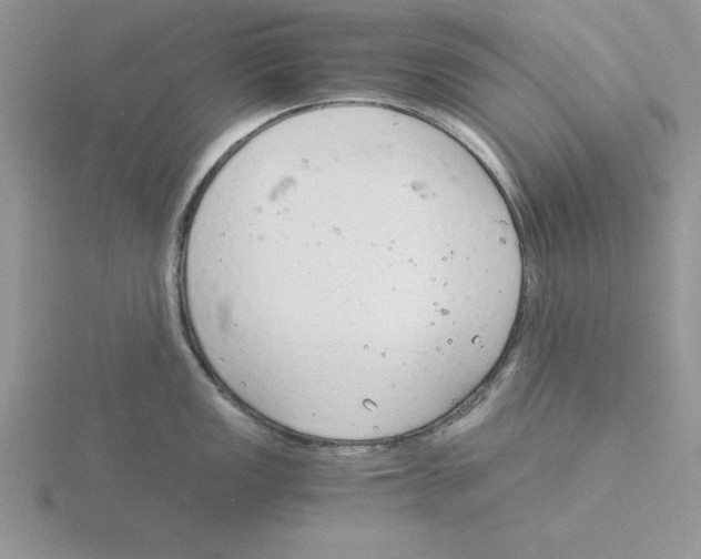 X0000115821149200912111245