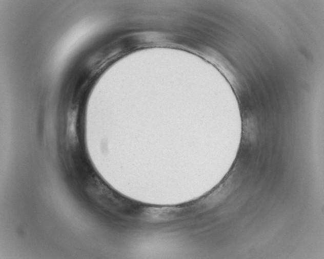 X0000115821150200912111245