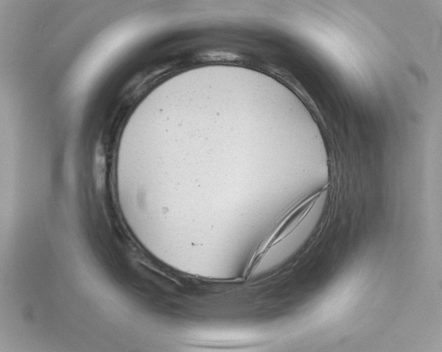 X0000115821151200912111245