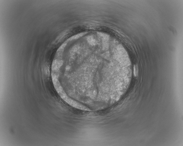 X0000115821155200912111245