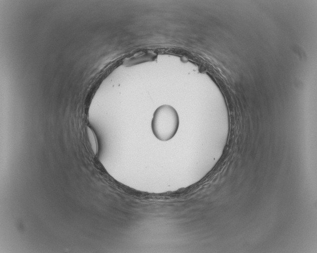 X0000115821157200912111245