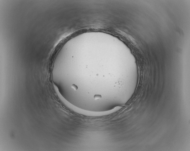 X0000115821160200912111245